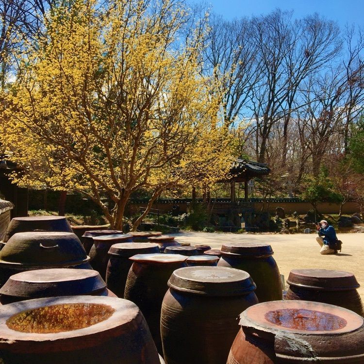 Canacameraさんが投稿したコリア庭園に関する口コミの画像