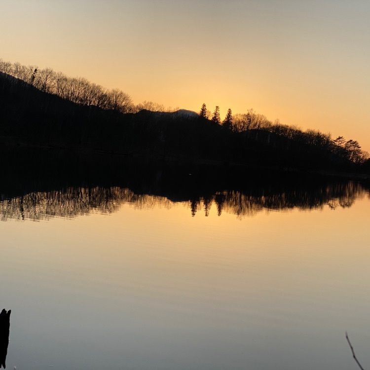 シンさんが投稿した観音沼森林公園に関する口コミの画像