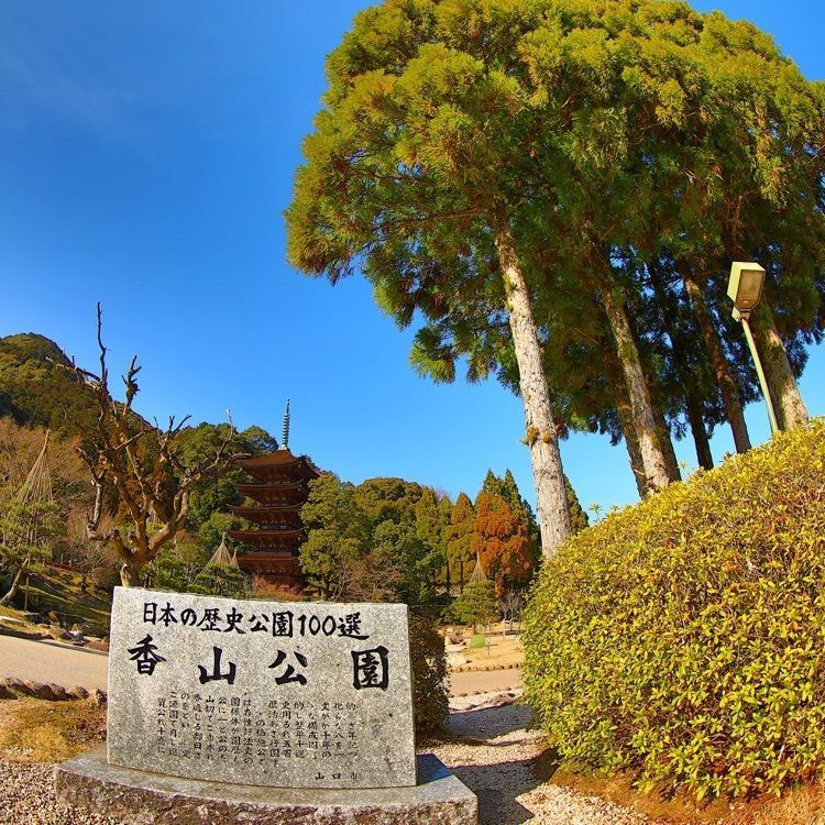 ゆんさんが投稿した香山公園に関する口コミの画像