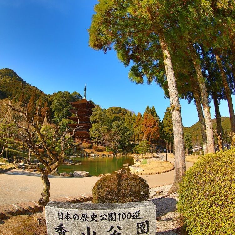 ゆんさんが投稿した香山公園に関する口コミの画像