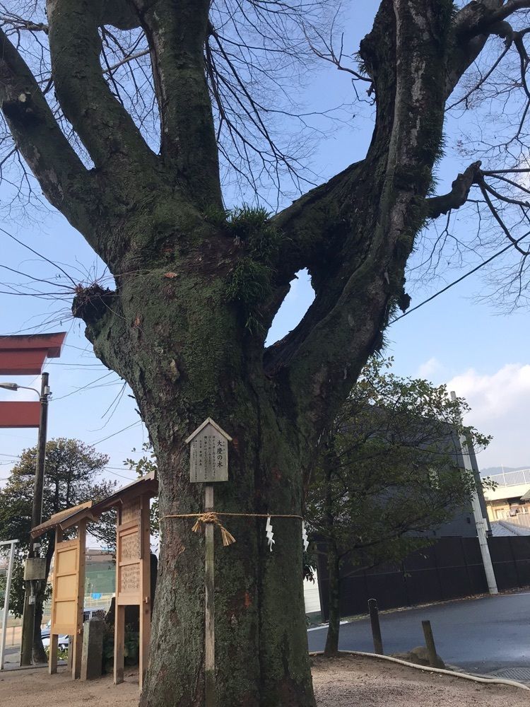 キングチェリーさんが投稿した塩屋神社に関する口コミの画像