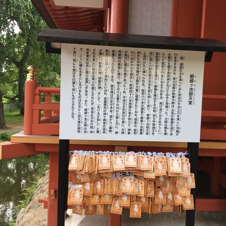 JACKさんが投稿した達谷西光寺に関する口コミの画像
