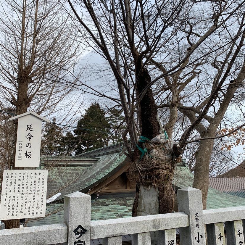 ぬまぬま権兵衛さんが投稿した函館八幡宮に関する口コミの画像