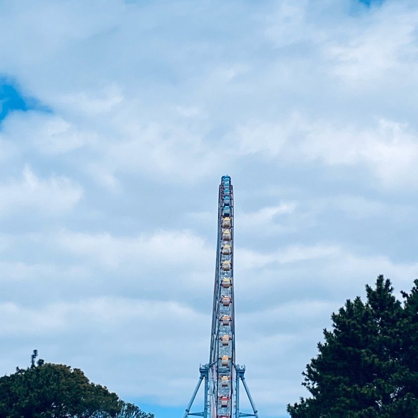🤎アイヒンまま🤎さんが投稿したダイヤと花の大観覧車に関する口コミの画像
