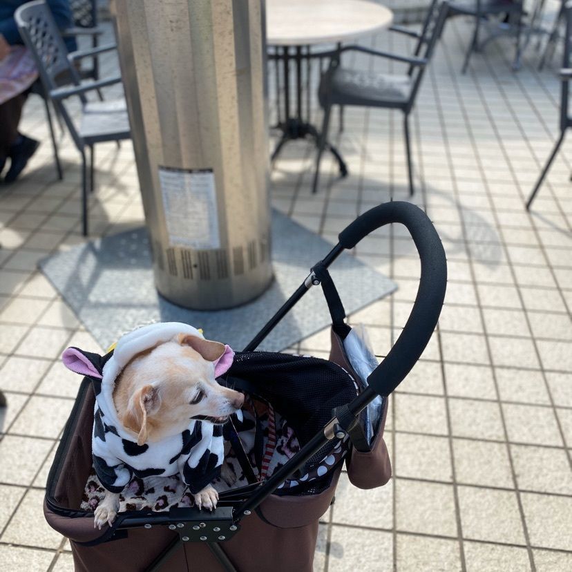🤎アイヒンまま🤎さんが投稿したPARKLIFE CAFE & RESTAURANT（パークライフ・カフェ＆レストラン）に関する口コミの画像