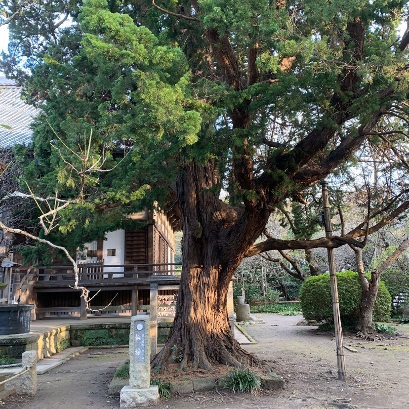 yuyan_819さんが投稿した宝戒寺に関する口コミの画像