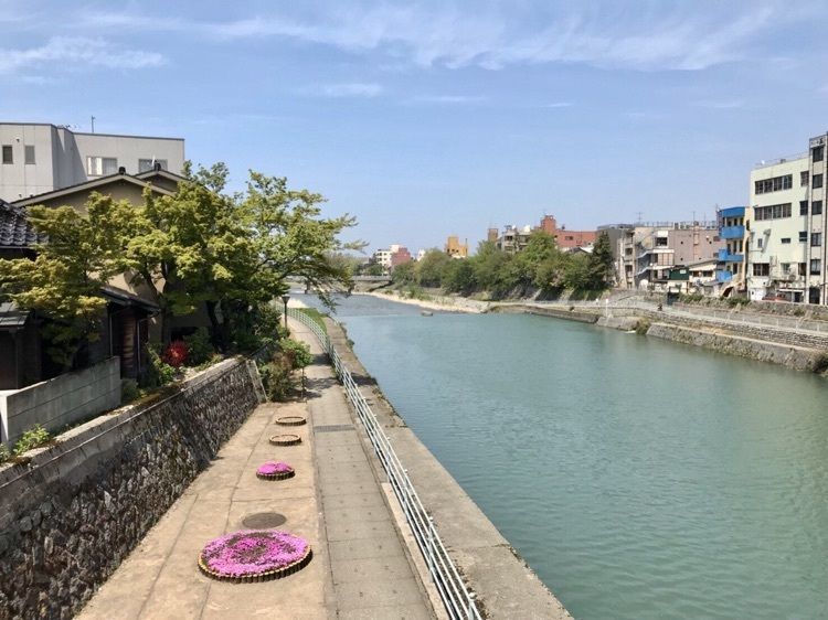 #石川 #浅野川 #aumo #おでかけ #春 #旅行 #国内旅行