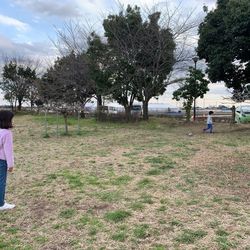 版 埼玉県でコスモスが楽しめるスポット6選 公園から名所まで紹介 Aumo アウモ