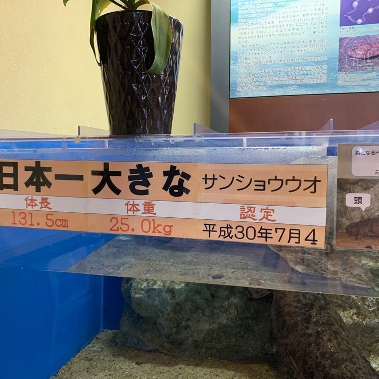formal_cafeteria_8688さんが投稿した道の駅 いんないに関する口コミの画像