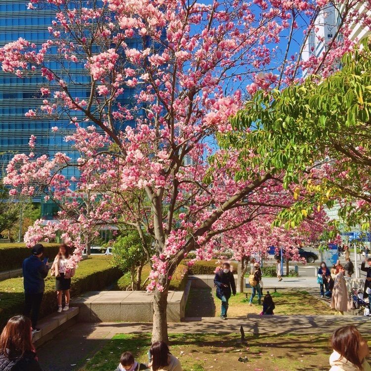 Canacameraさんが投稿したグランモール公園に関する口コミの画像