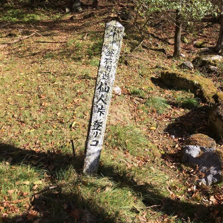 JACKさんが投稿した仙人峠に関する口コミの画像