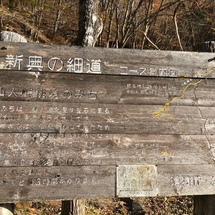 JACKさんが投稿した仙人峠に関する口コミの画像