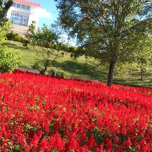 ゆにガーデン 8枚目