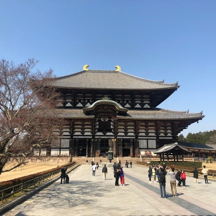 ちゃおさんが投稿した奈良駅に関する口コミの画像
