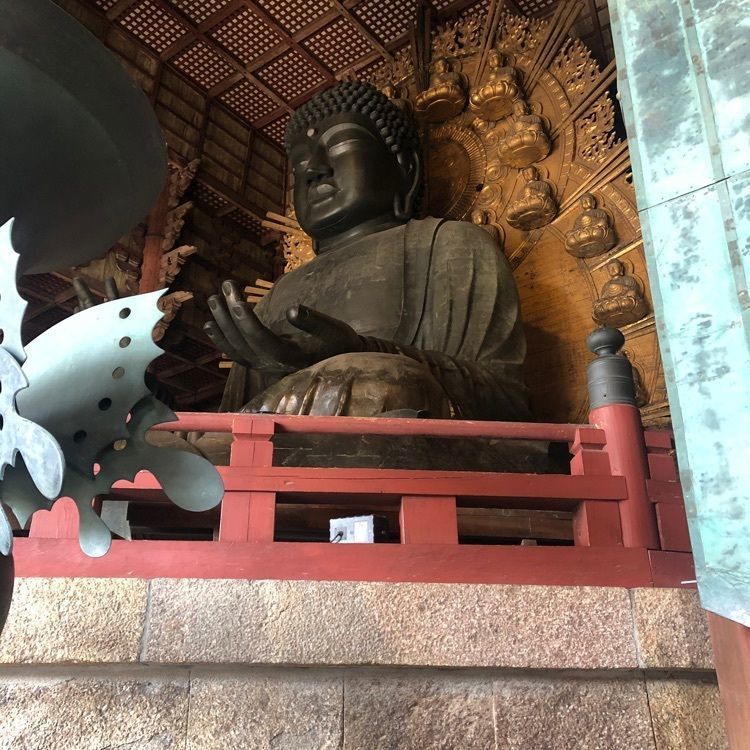 ちゃおさんが投稿した奈良駅に関する口コミの画像