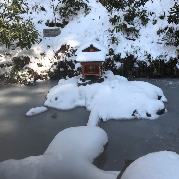 佳さんが投稿した樹氷（金剛山）に関する口コミの画像