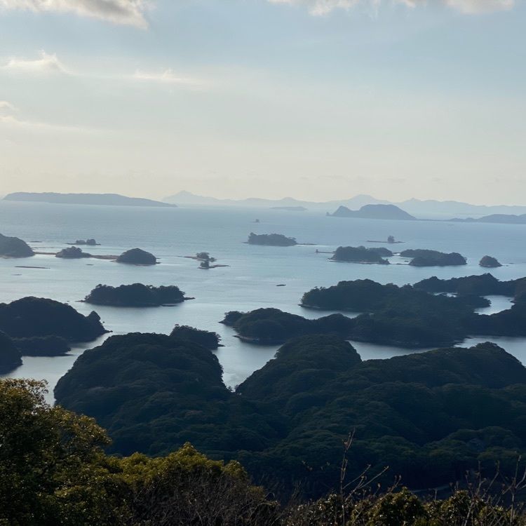 trickyさんが投稿した展海峰の菜の花に関する口コミの画像