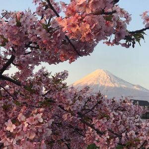 道の駅 伊豆のへそ 2枚目