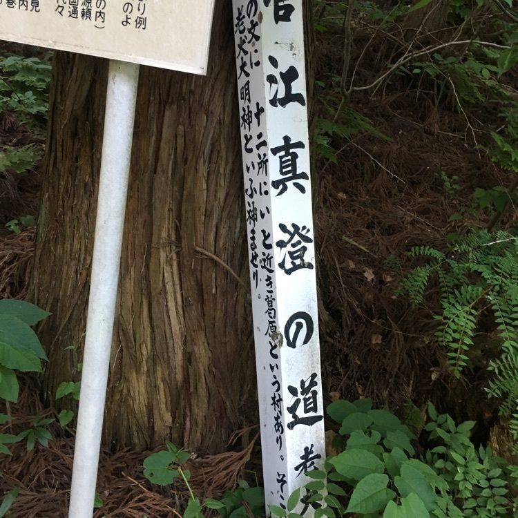 JACKさんが投稿した老犬神社に関する口コミの画像