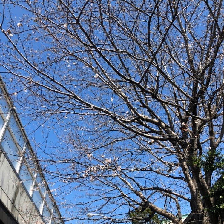 tomorrowさんが投稿したトヨタレンタリース横浜三ツ境駅前店に関する口コミの画像