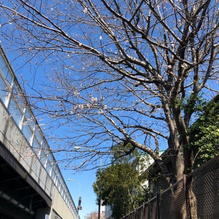 tomorrowさんが投稿したトヨタレンタリース横浜三ツ境駅前店に関する口コミの画像