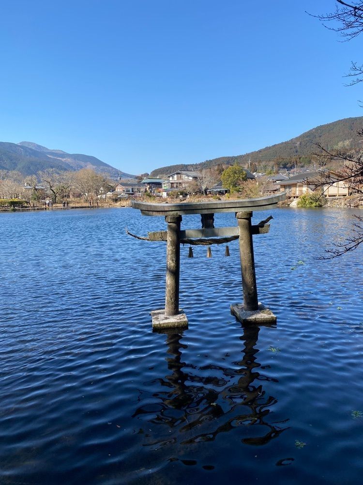 ピロピロ♂さんが投稿した旅荘牧場の家に関する口コミの画像