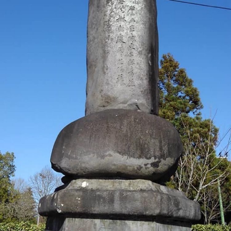 A bientot Japonさんが投稿した菊陽杉並木公園さんさんに関する口コミの画像