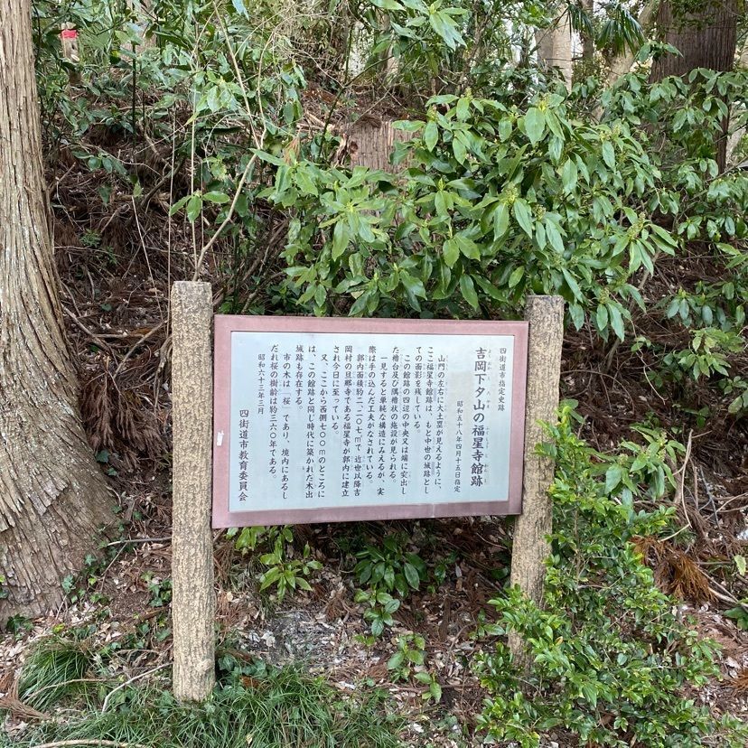 凱風快晴さんが投稿した福星寺のしだれ桜に関する口コミの画像