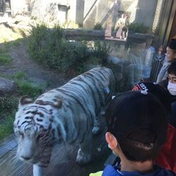 19 鹿児島市平川動物公園が丸わかり 楽しみ方を提案 Aumo アウモ