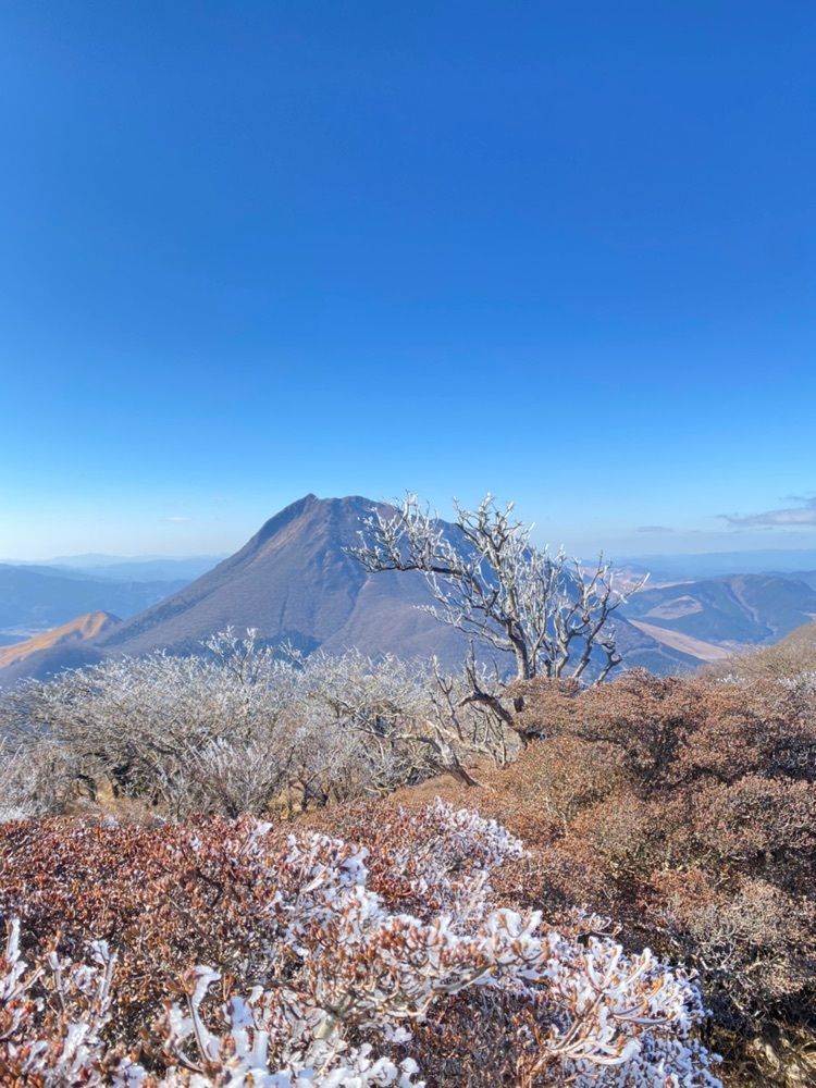 🤎アイヒンまま🤎さんが投稿した鶴見岳の霧氷に関する口コミの画像