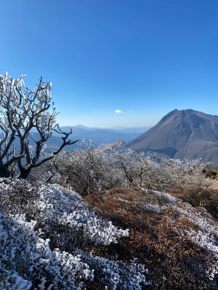 🤎アイヒンまま🤎さんが投稿した鶴見岳の霧氷に関する口コミの画像