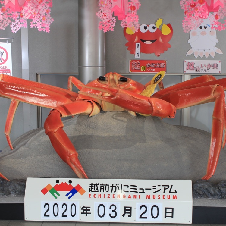 越前がにミュージアムショップ 1枚目