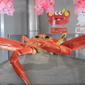 越前がにミュージアムショップ 2枚目