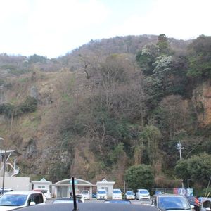 越前がにミュージアムショップ 5枚目