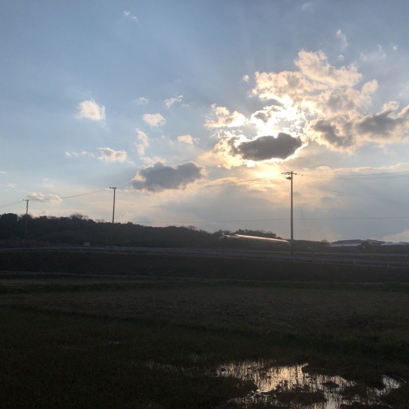 aki_1018simanchu⭐︎さんが投稿したぽんかふぇに関する口コミの画像