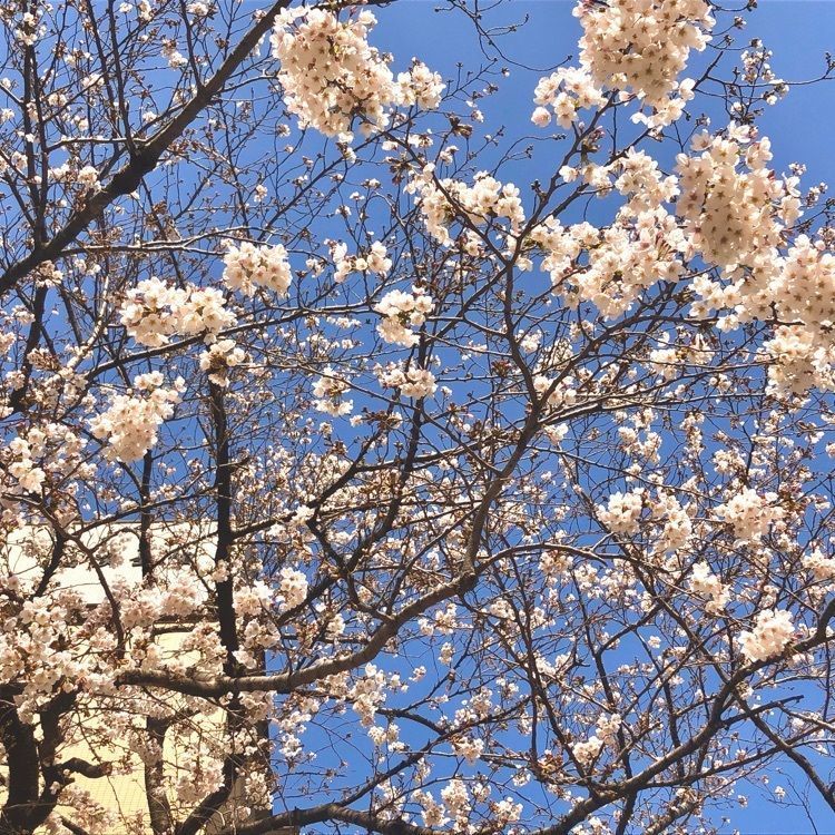 yukiさんが投稿した群林堂（ぐんりんどう）に関する口コミの画像