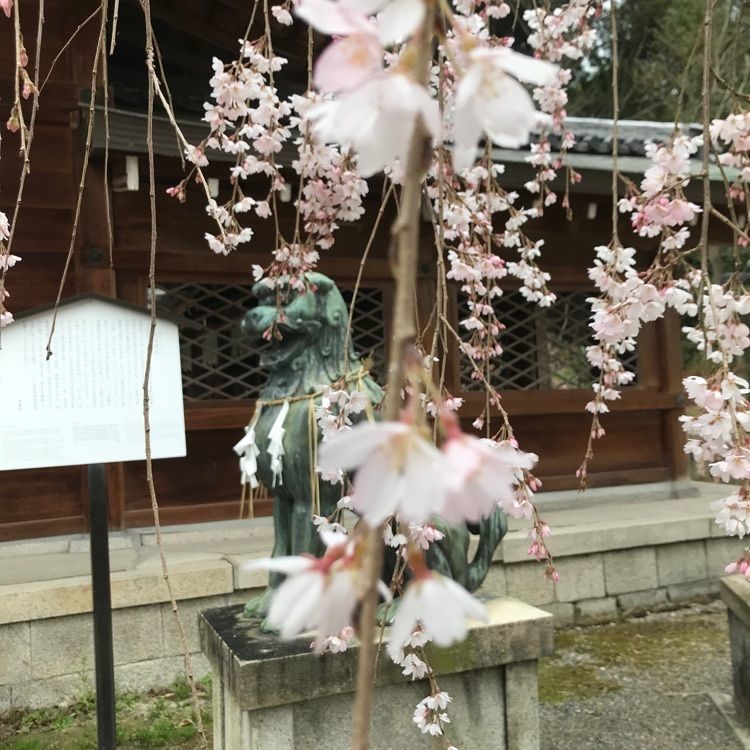 NBR OTさんが投稿した大石神社に関する口コミの画像