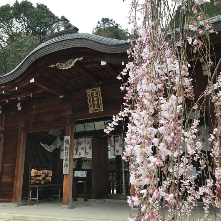 NBR OTさんが投稿した大石神社に関する口コミの画像