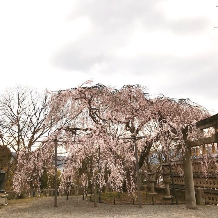 NBR OTさんが投稿した大石神社に関する口コミの画像