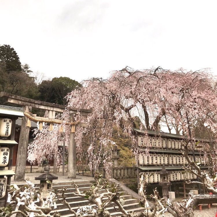 NBR OTさんが投稿した大石神社に関する口コミの画像