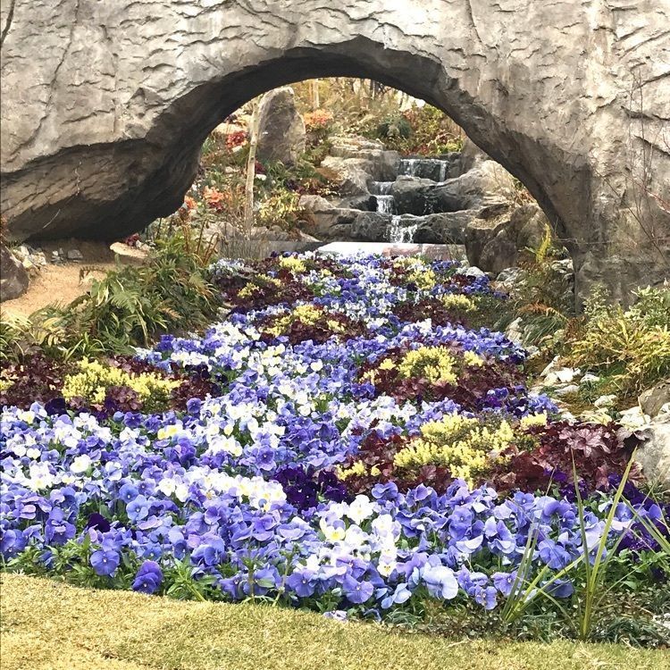 ☆miki☆さんが投稿した広島市中央公園に関する口コミの画像