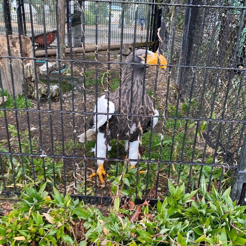 ☆κει☆さんが投稿した宇都宮動物園に関する口コミの画像