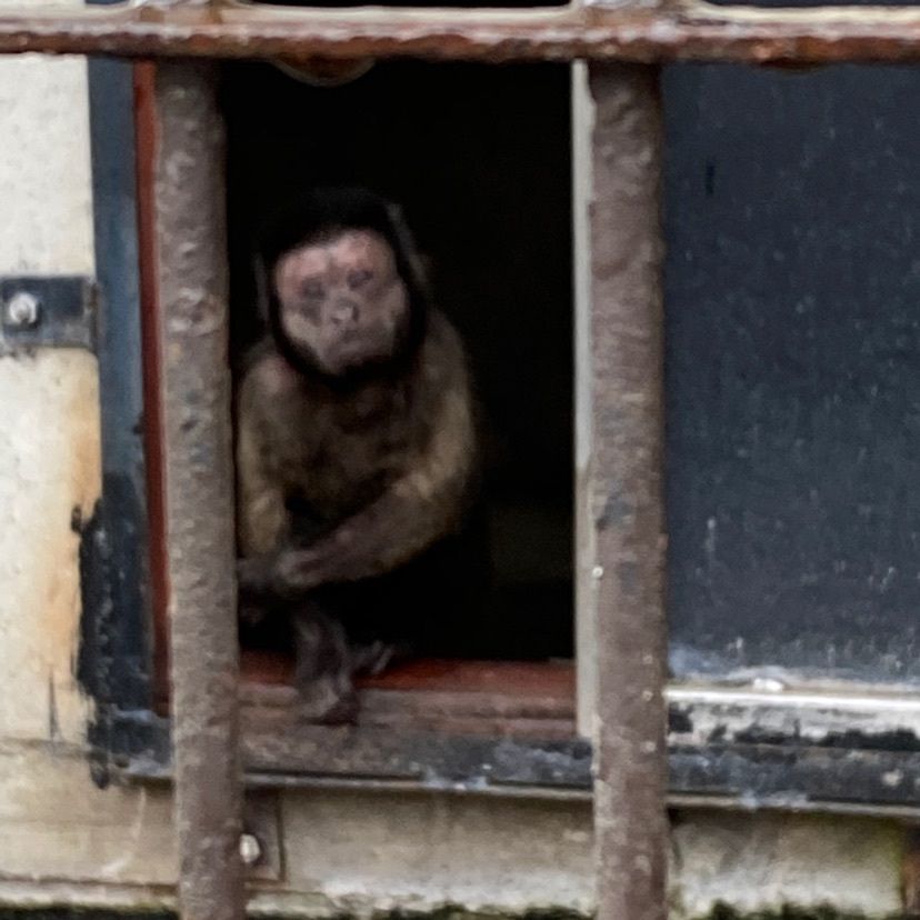 ☆κει☆さんが投稿した宇都宮動物園に関する口コミの画像