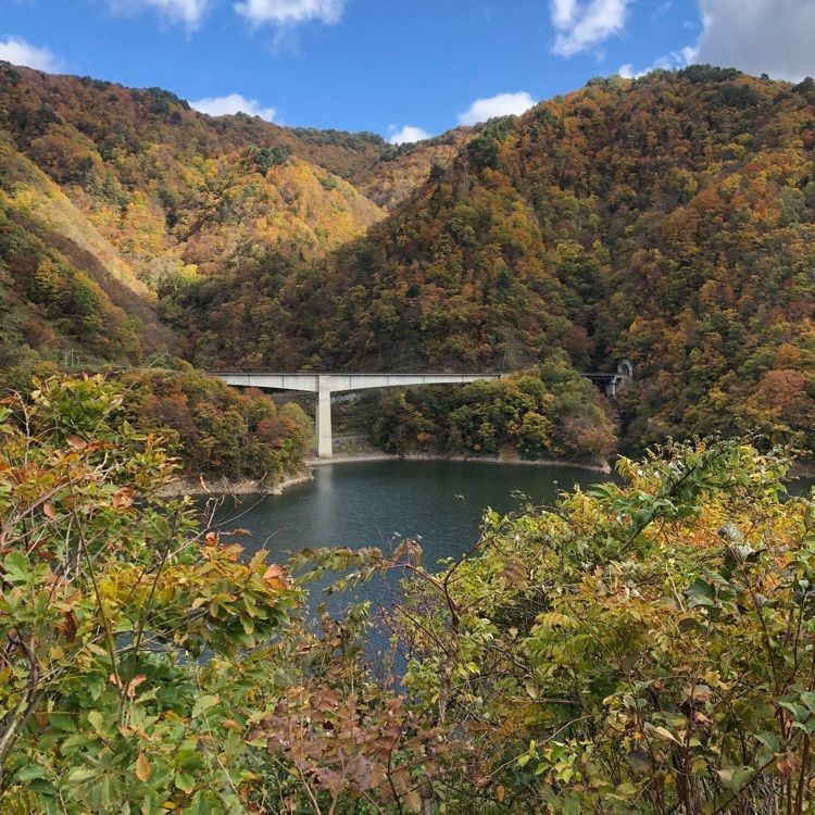 令和 Nin1000さんが投稿したながい百秋湖（長井ダム湖）に関する口コミの画像