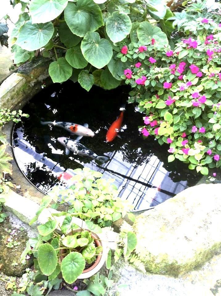 Rhapsodyさんが投稿した鏡山（佐賀県唐津市）に関する口コミの画像