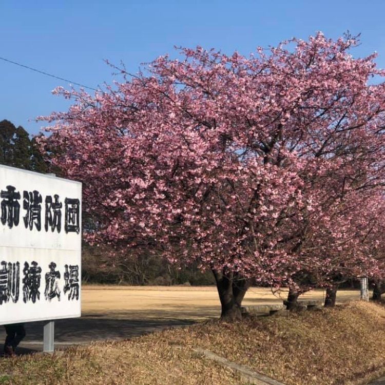 ＤＪゴン太さんが投稿した恵の湯　神の郷温泉に関する口コミの画像