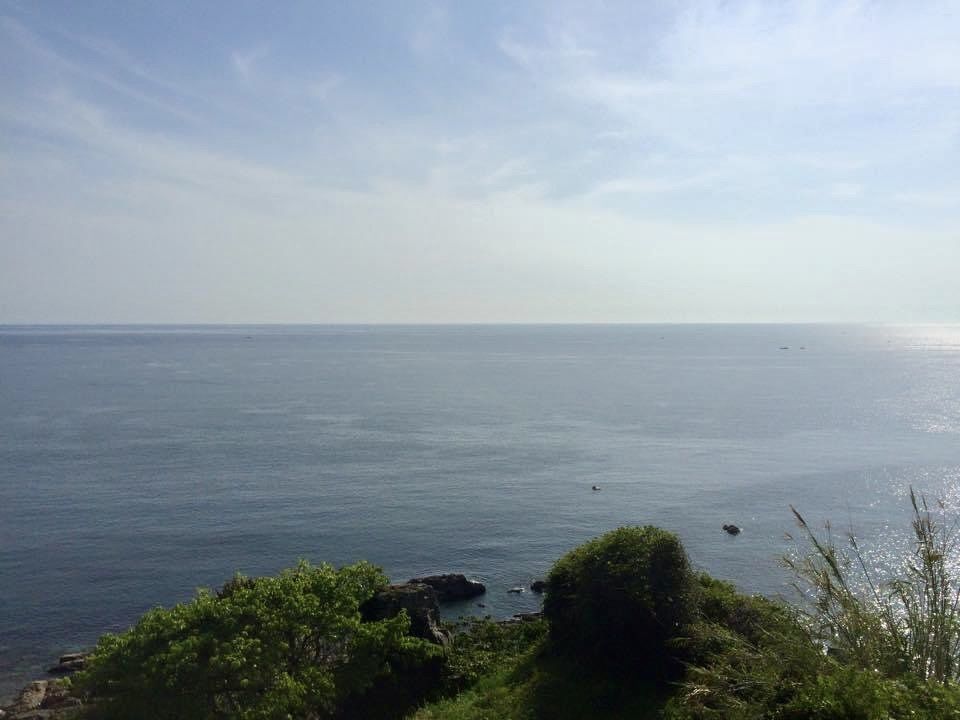 Rhapsodyさんが投稿した富岡海域公園展望所に関する口コミの画像