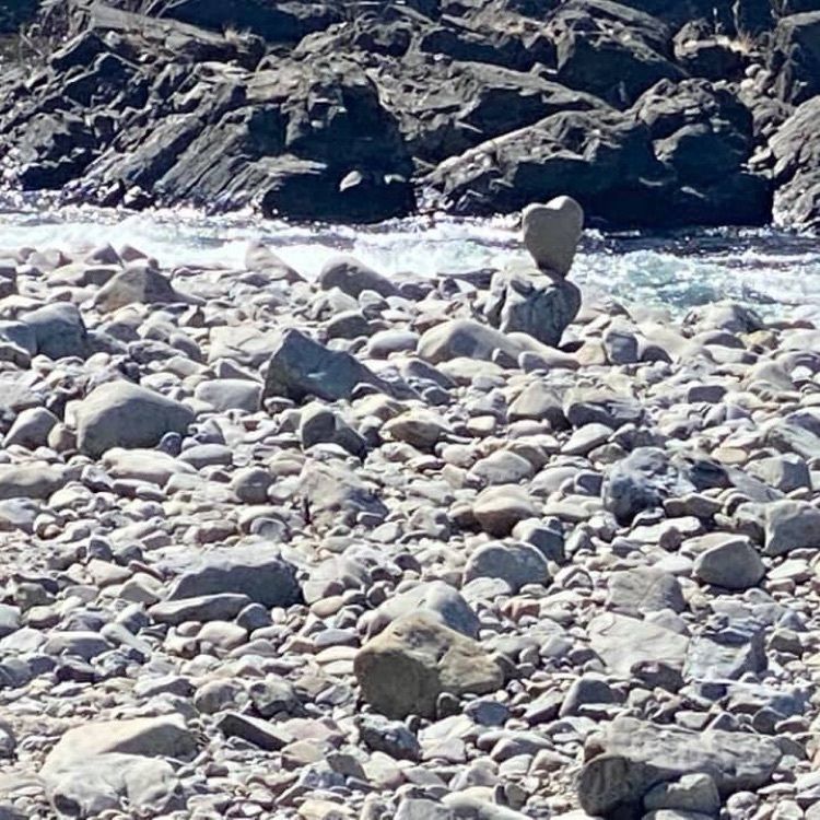 ＤＪゴン太さんが投稿した四万十川流域に関する口コミの画像