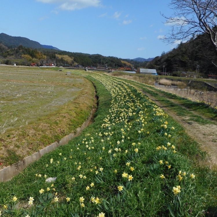 ＤＪゴン太さんが投稿した隠岐の島町沿岸に関する口コミの画像