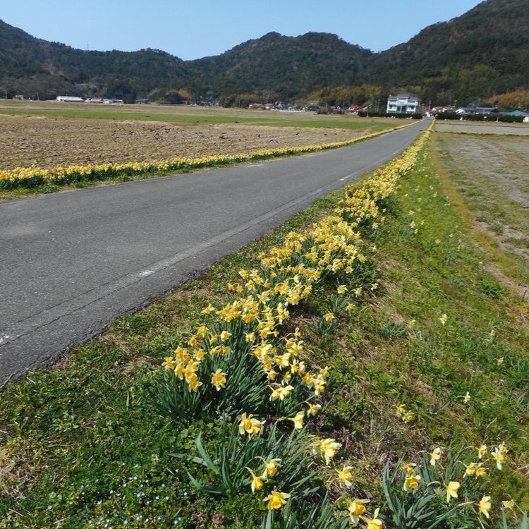 ＤＪゴン太さんが投稿した隠岐の島町沿岸に関する口コミの画像